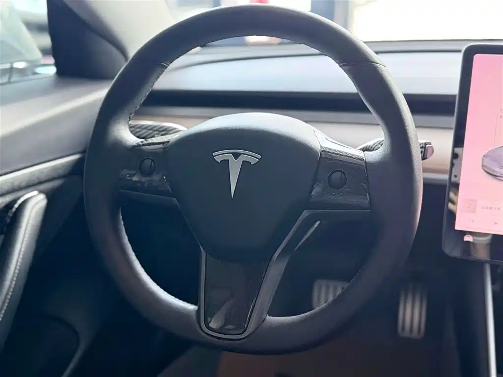 Tesla 2019 Tesla Model 3 Standard Range Plus RWD 2020 - thumbnail 25