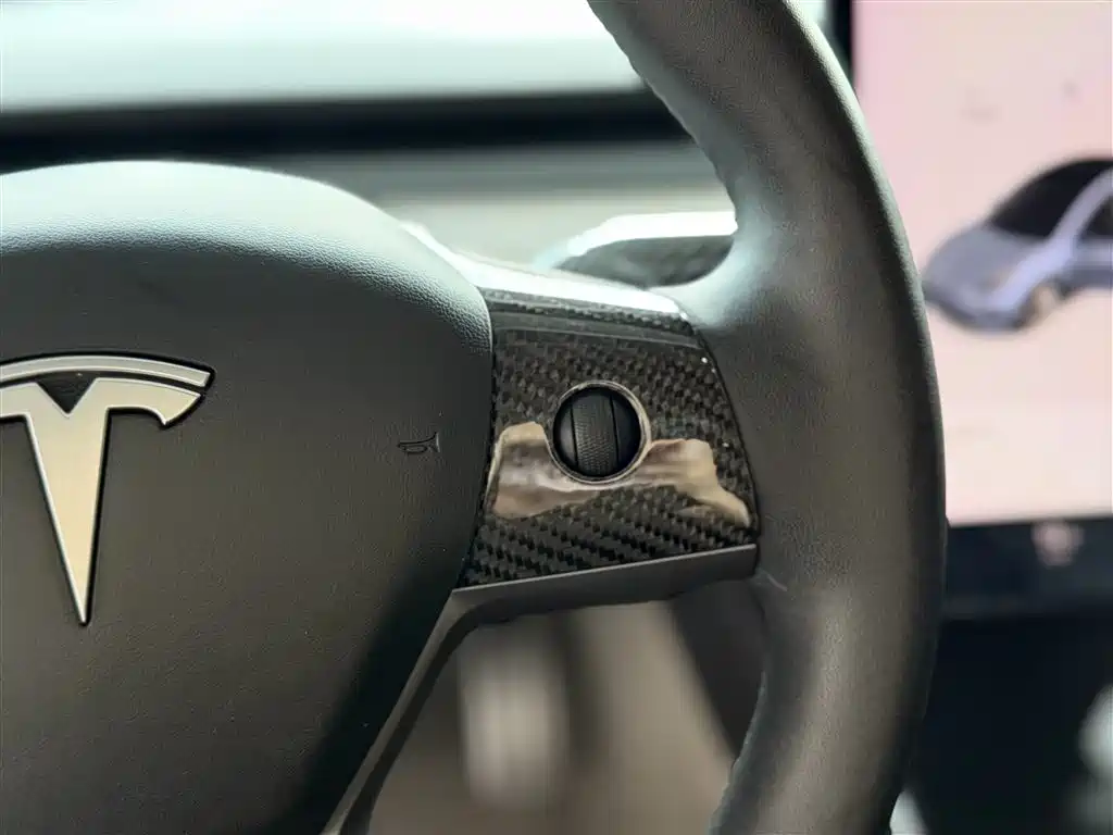 Tesla 2019 Tesla Model 3 Standard Range Plus RWD 2020 - thumbnail 26