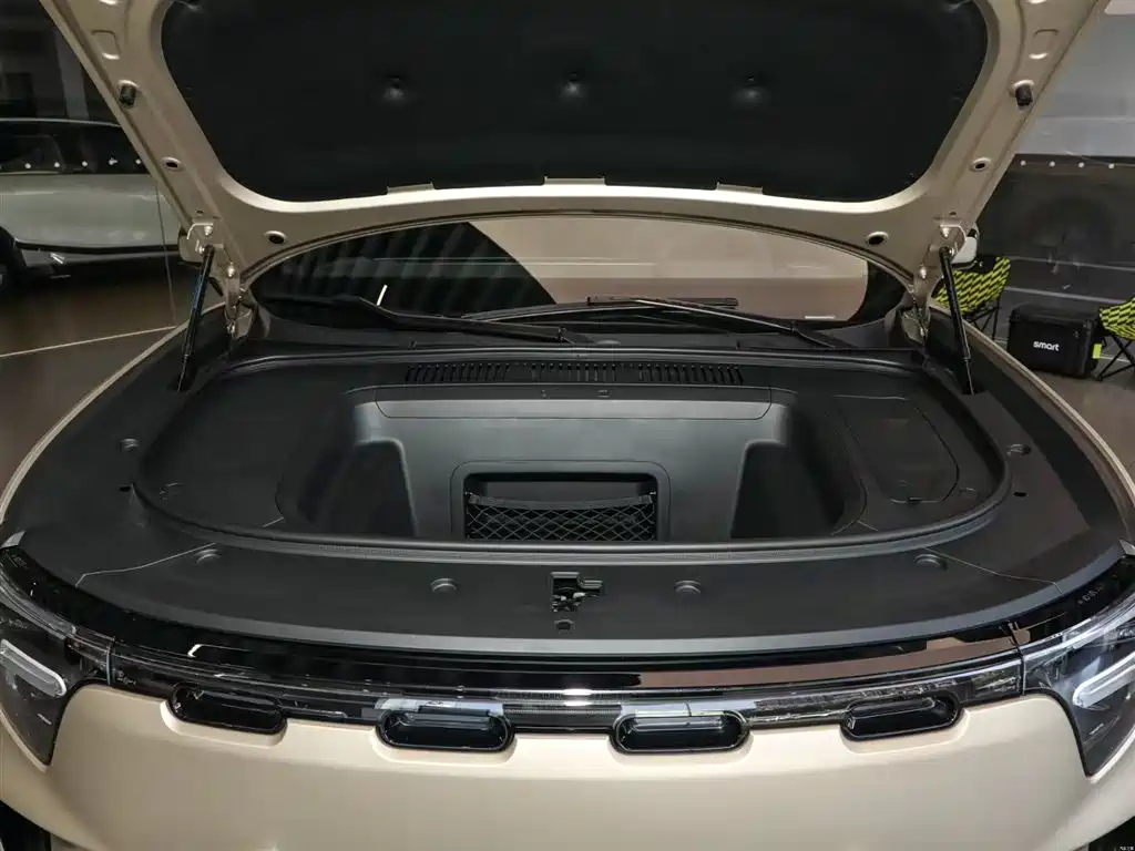 smart smart #5 2024 Long Range Adventure Luxury Edition 2026 - thumbnail 5
