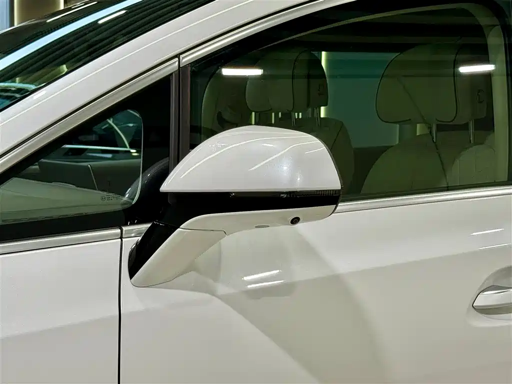 Denza Denza D9 2024 DM-i 980 AWD Zunjong Edition 2024 - thumbnail 26