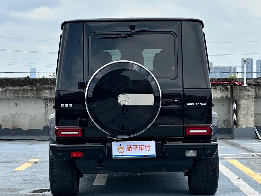 Mercedes-Benz Mercedes-Benz G-Class 2009 G 55 AMG 2010 - thumbnail 8