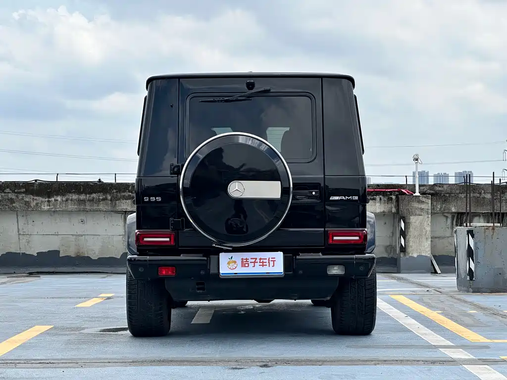 Mercedes-Benz Mercedes-Benz G-Class 2009 G 55 AMG 2010 - thumbnail 9