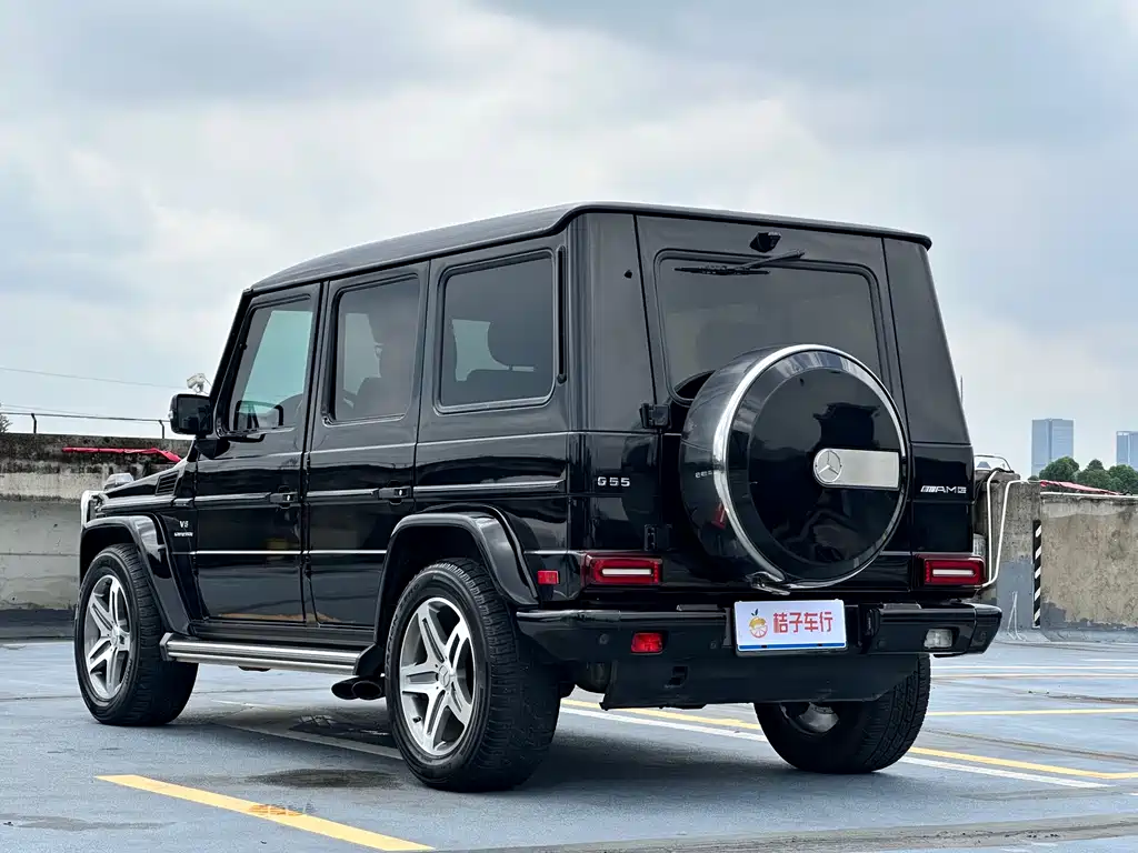 Mercedes-Benz Mercedes-Benz G-Class 2009 G 55 AMG 2010 - thumbnail 10