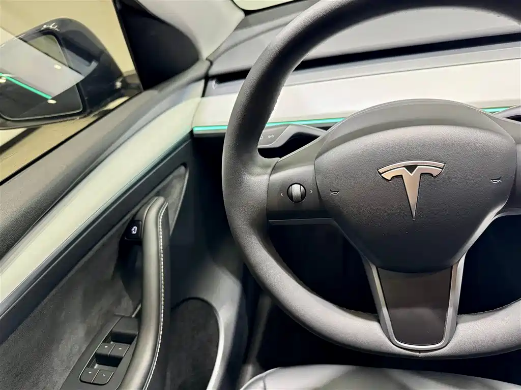 Tesla Model Y 2024 Rear-Wheel Drive 2025 - thumbnail 22