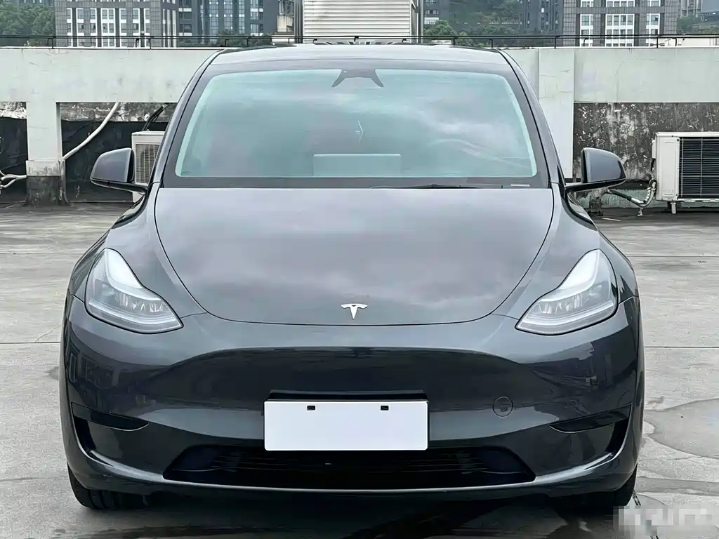Tesla Tesla Model Y 2024 Rear-Wheel Drive 2025 - thumbnail 2