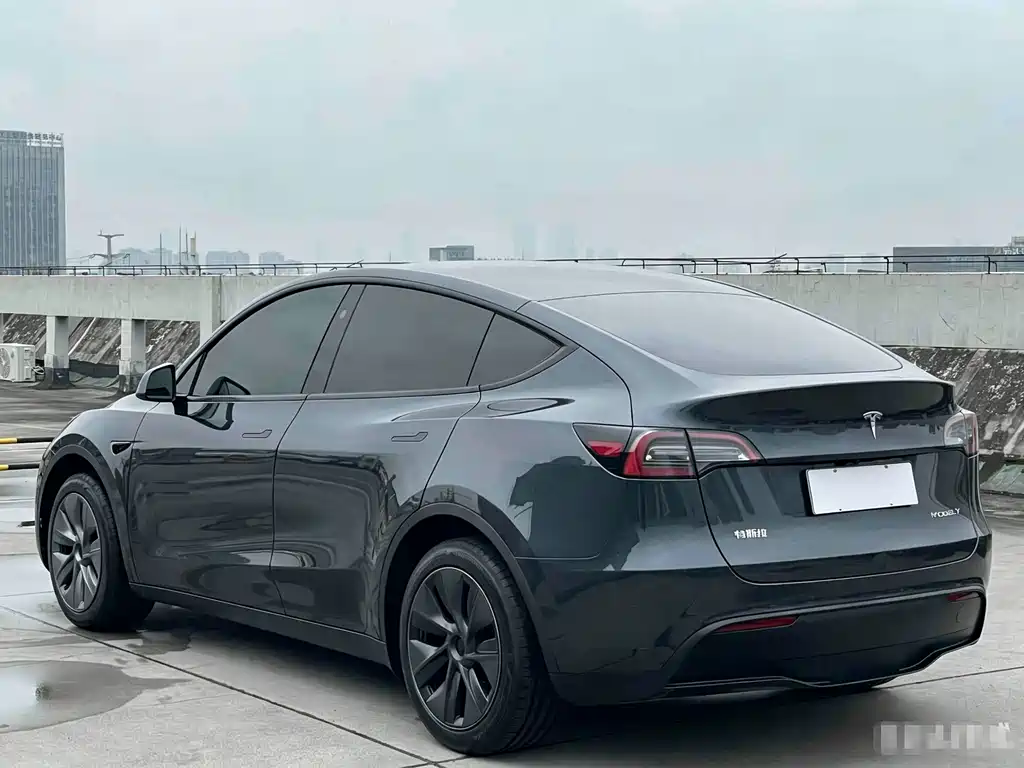 Tesla Tesla Model Y 2024 Rear-Wheel Drive 2025 - thumbnail 6