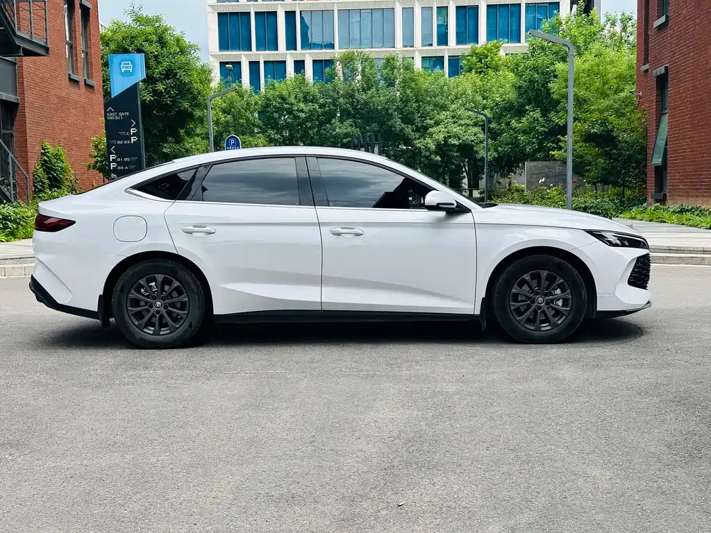 BYD BYD Qin L 2024 DM-i 80KM Leading Edition 2024 - thumbnail 4