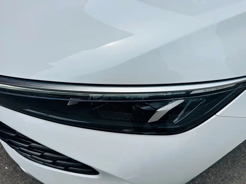 BYD BYD Qin L 2024 DM-i 80KM Leading Edition 2024 - thumbnail 20