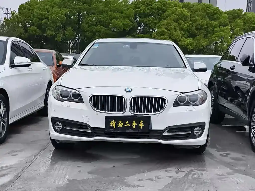 BMW BMW 5 Series 2013 520Li Elegant Edition 2014 - thumbnail 2