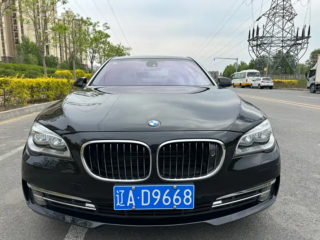 BMW BMW 7 Series 2010 750Li 2010 - thumbnail 2