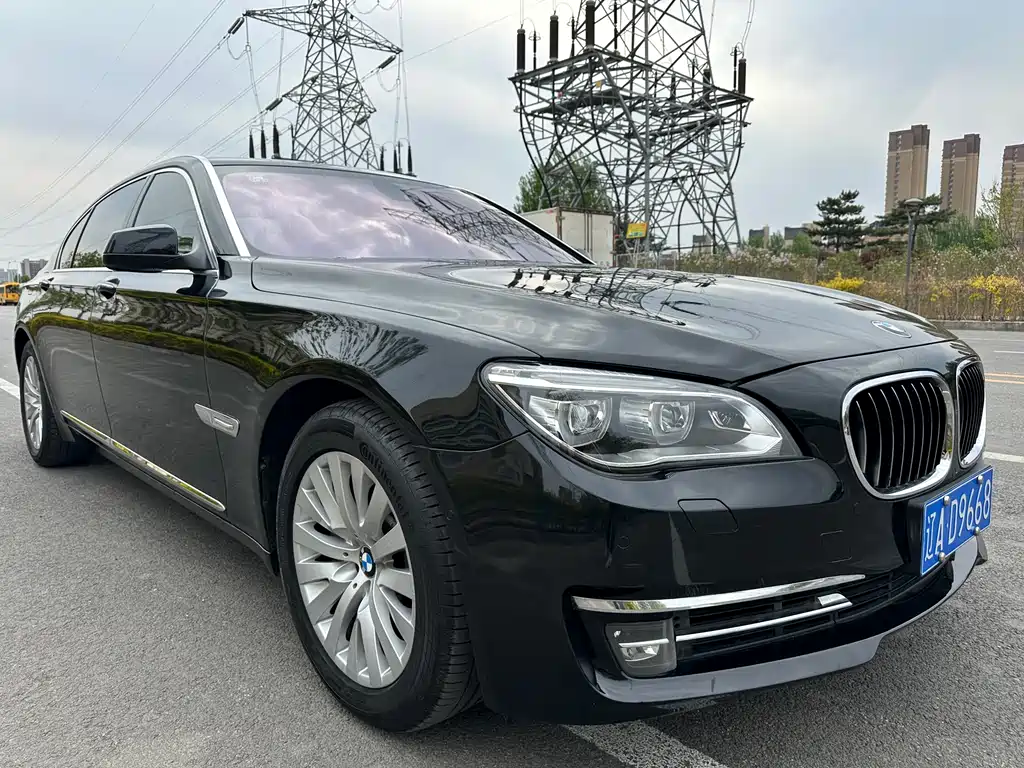 BMW BMW 7 Series 2010 750Li 2010 - thumbnail 3
