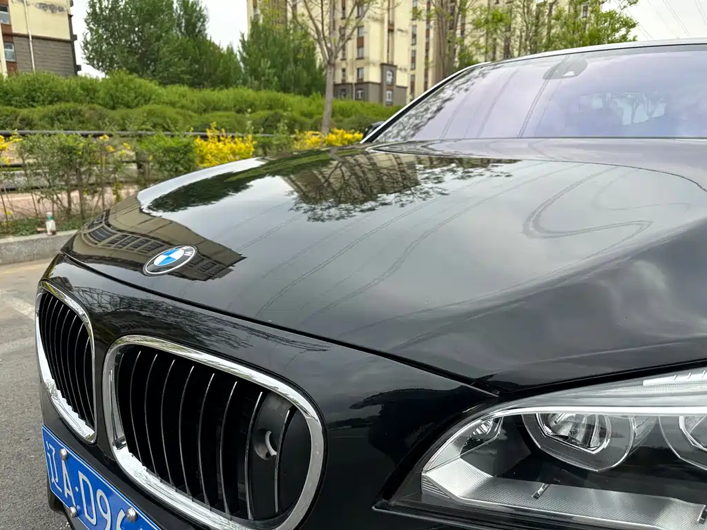 BMW BMW 7 Series 2010 750Li 2010 - thumbnail 11