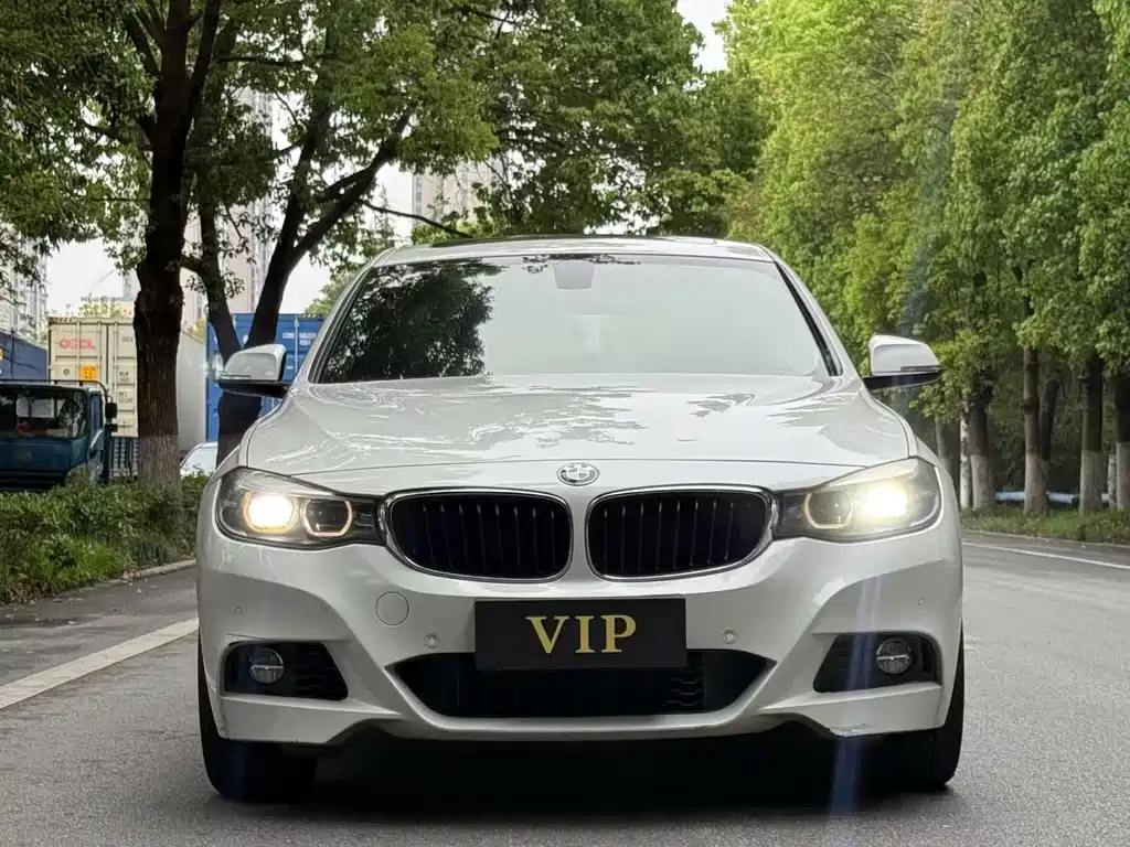 BMW BMW 3 Series GT 2018 320i M Sport 2019 - thumbnail 2