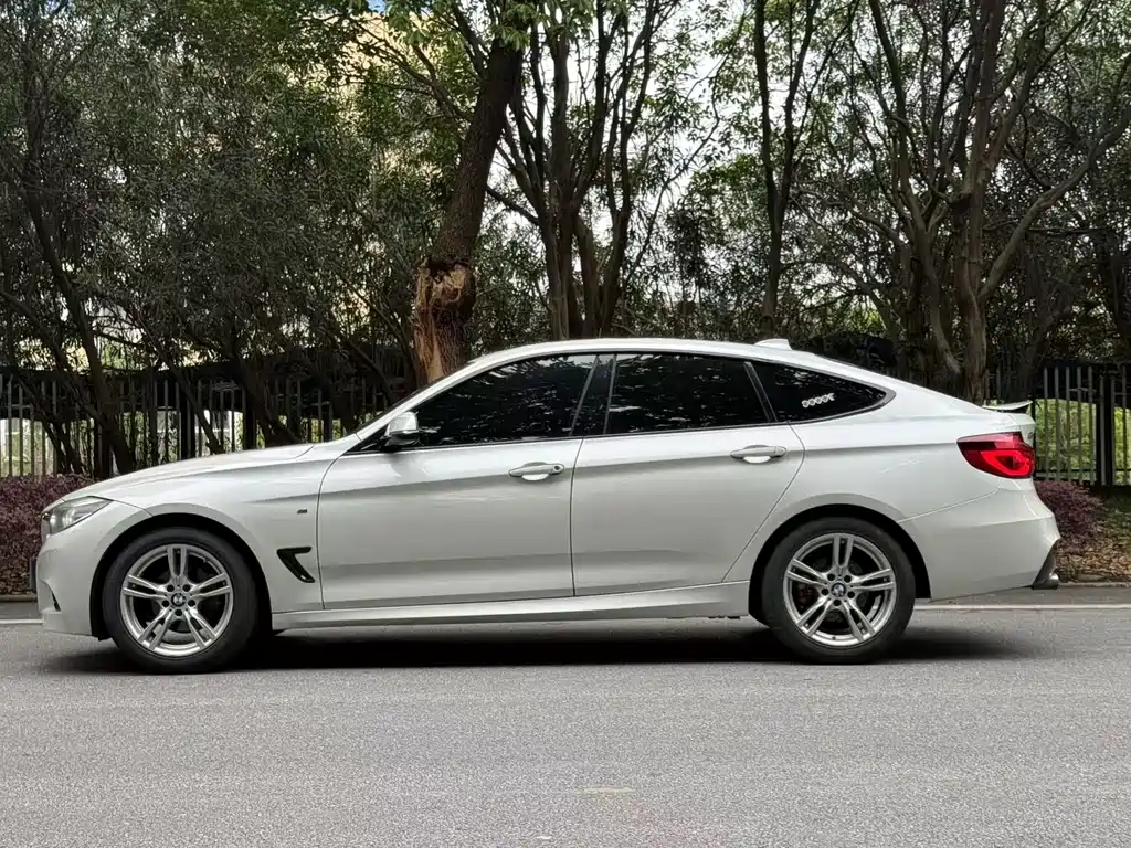 BMW BMW 3 Series GT 2018 320i M Sport 2019 - thumbnail 9