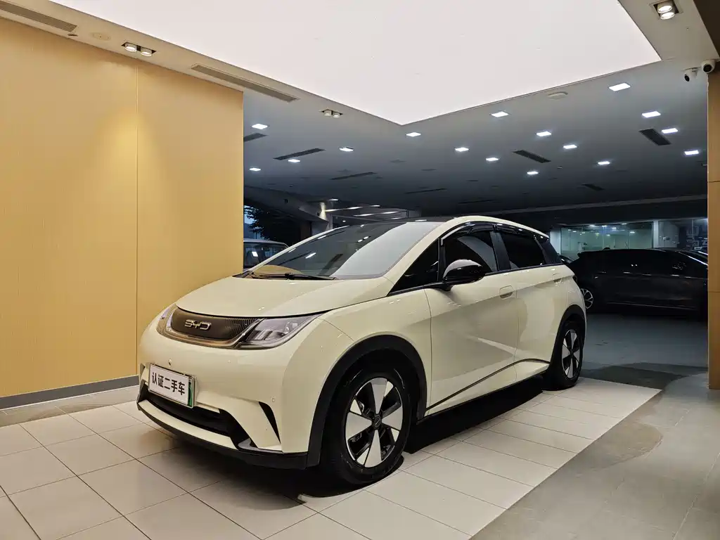 BYD BYD Dolphin 2023 420km Fashion Edition 2023