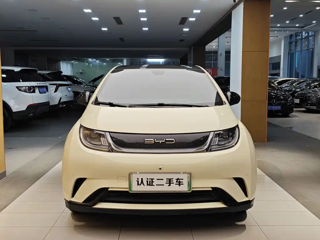 BYD BYD Dolphin 2023 420km Fashion Edition 2023 - thumbnail 3