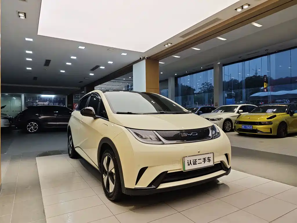 BYD BYD Dolphin 2023 420km Fashion Edition 2023 - thumbnail 4
