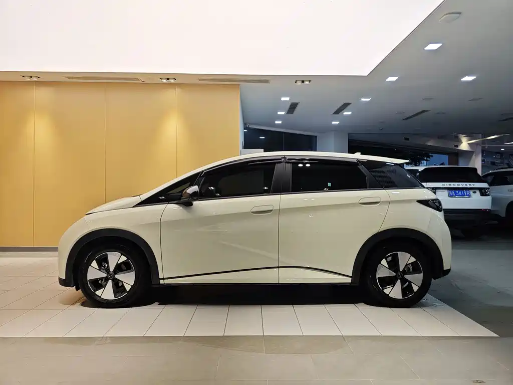 BYD BYD Dolphin 2023 420km Fashion Edition 2023 - thumbnail 6