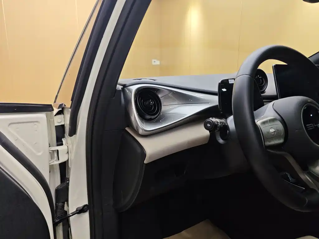 BYD BYD Dolphin 2023 420km Fashion Edition 2023 - thumbnail 11