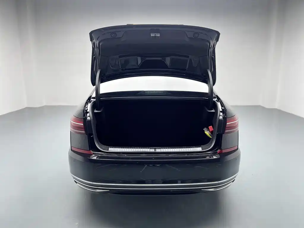 Volkswagen Volkswagen Passat 2024 380TSI Starry Sky Longteng Edition 2024 - thumbnail 13