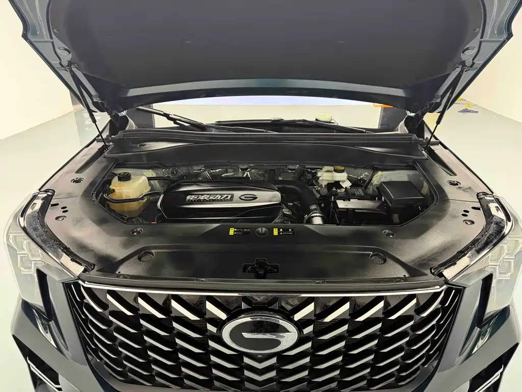 GAC Trumpchi GAC Trumpchi GS8 2025 Pilot Series 2.0TGDI FWD Luxury Edition 5-Seater 2024 - thumbnail 9