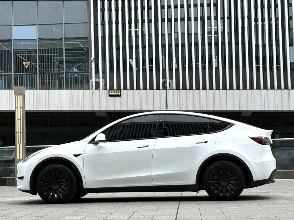 Tesla Model Y 2024 RWD 2024 - thumbnail 12