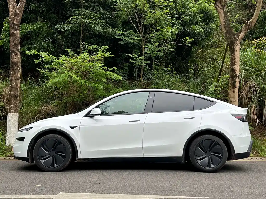 Tesla Model Y 2025 Rear-Wheel Drive 2025 - thumbnail 2