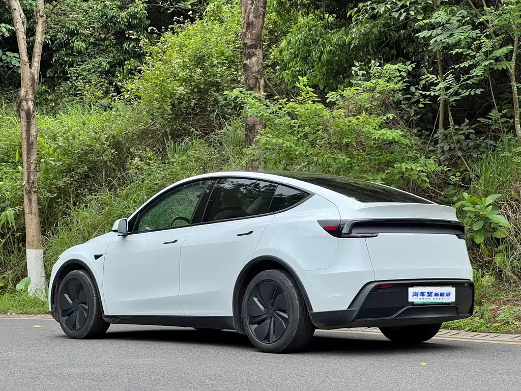 Tesla Model Y 2025 Rear-Wheel Drive 2025 - thumbnail 3