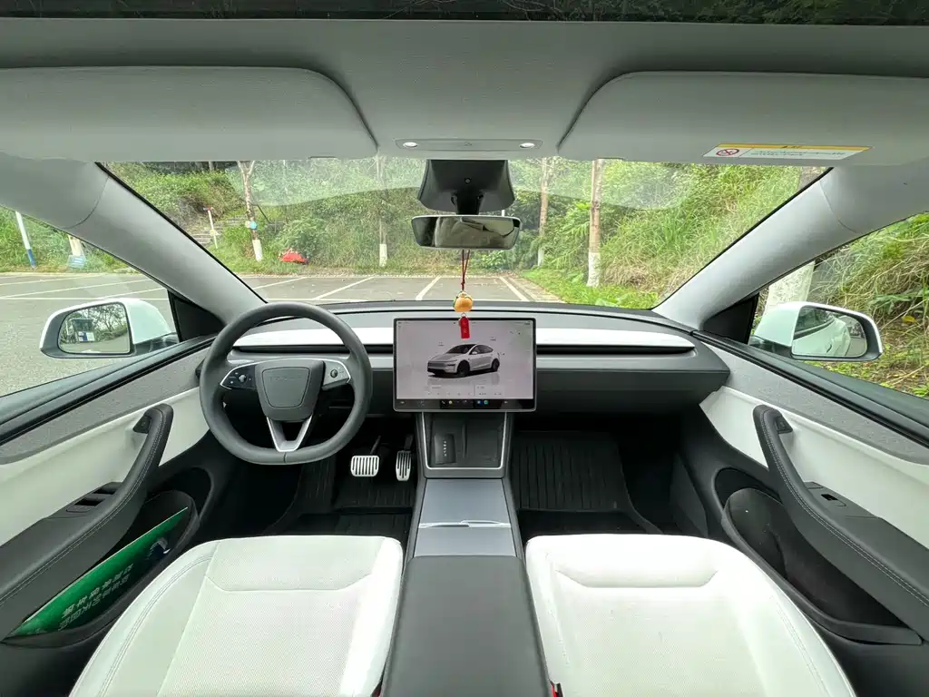 Tesla Model Y 2025 Rear-Wheel Drive 2025 - thumbnail 5
