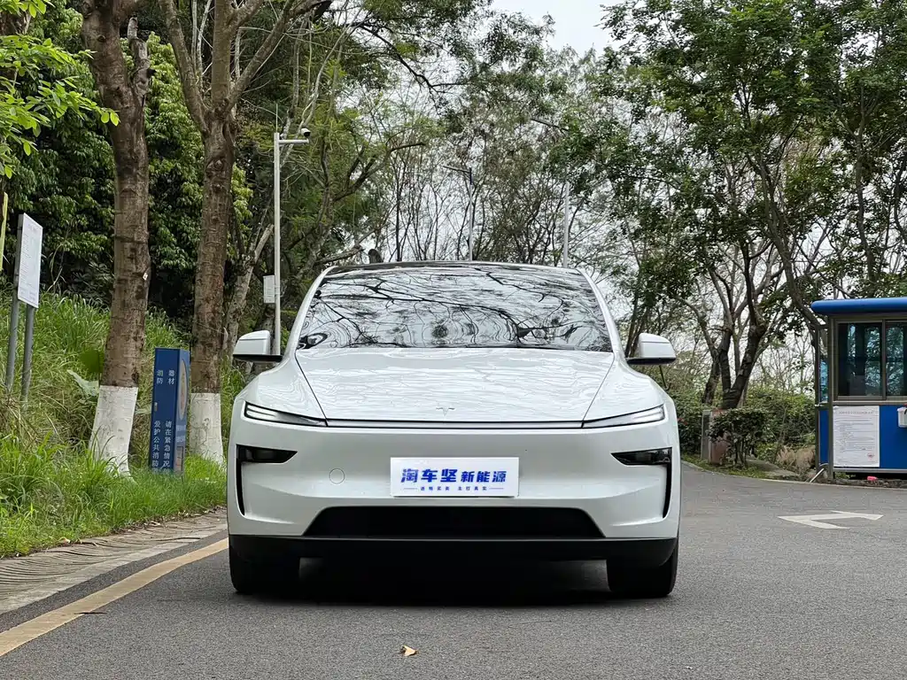 Tesla Model Y 2025 Rear-Wheel Drive 2025 - thumbnail 7