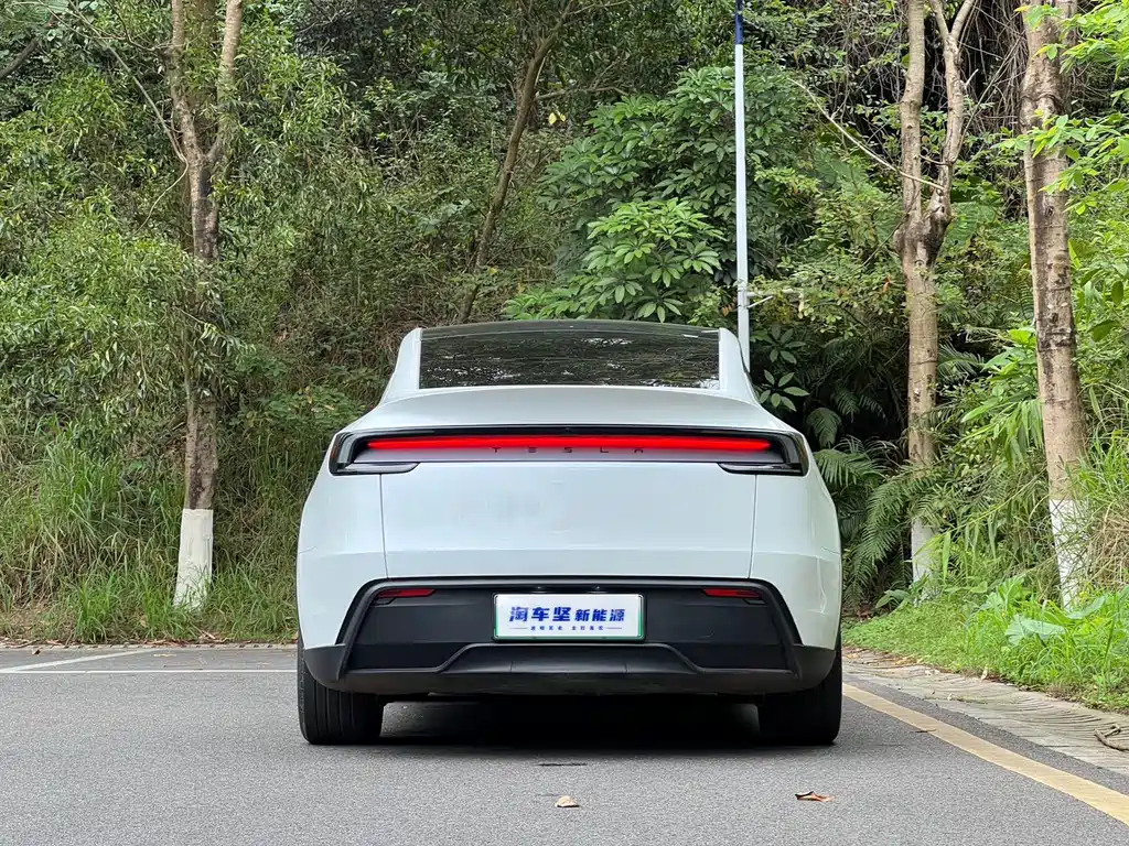 Tesla Model Y 2025 Rear-Wheel Drive 2025 - thumbnail 8
