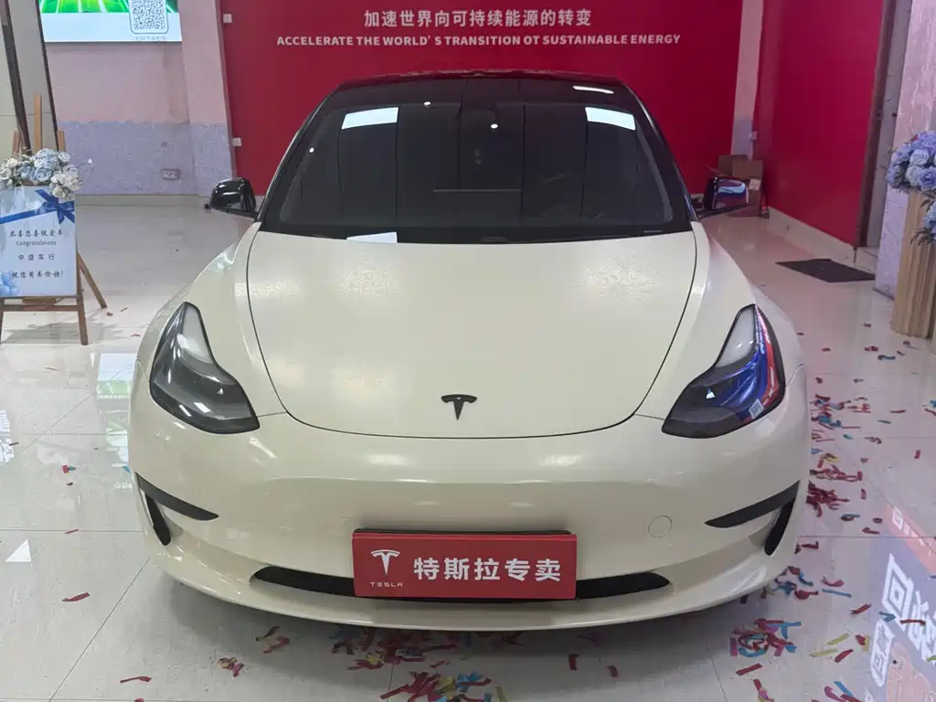 Tesla Model 3 2021 Standard Range Plus Rear-Wheel Drive 2021 - thumbnail 2