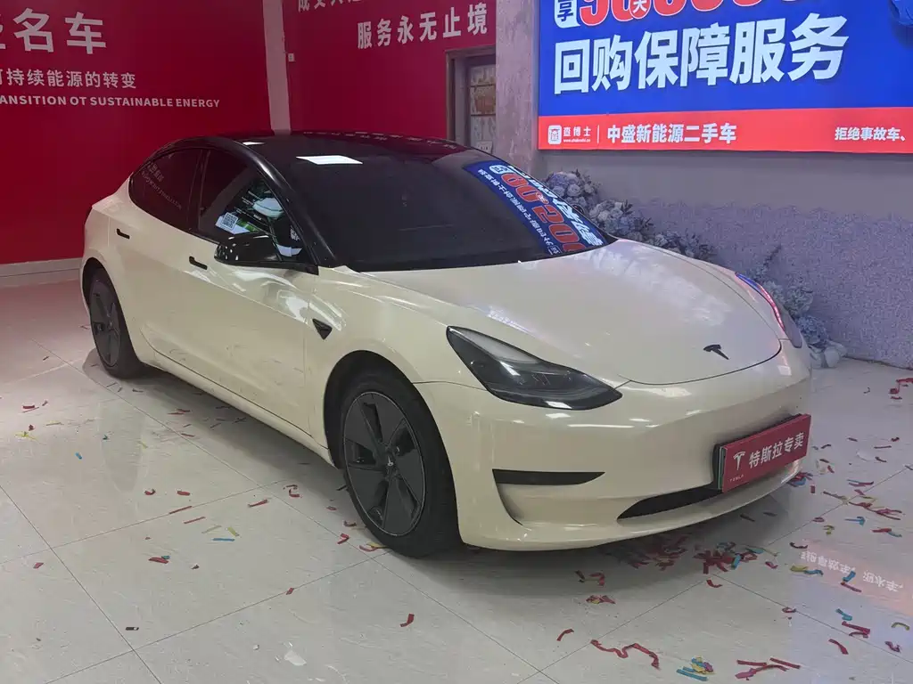 Tesla Model 3 2021 Standard Range Plus Rear-Wheel Drive 2021 - thumbnail 3
