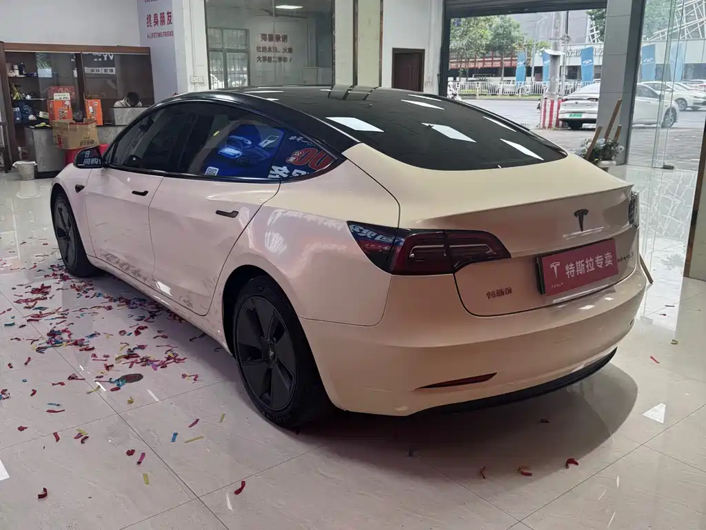Tesla Model 3 2021 Standard Range Plus Rear-Wheel Drive 2021 - thumbnail 7