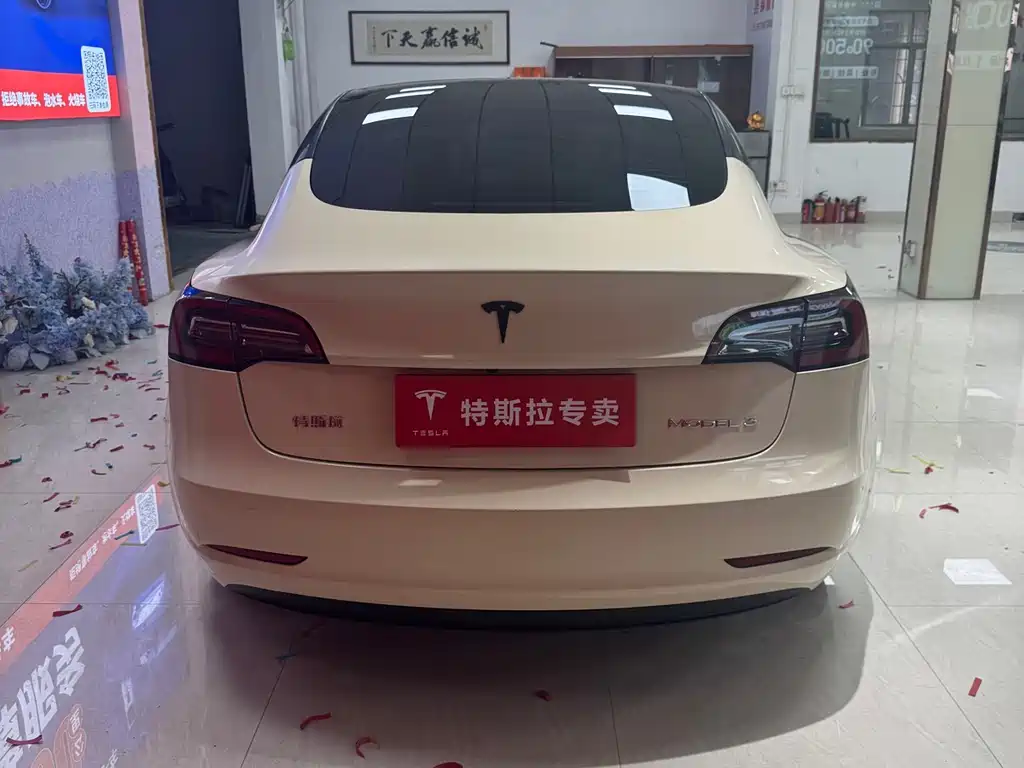 Tesla Model 3 2021 Standard Range Plus Rear-Wheel Drive 2021 - thumbnail 8