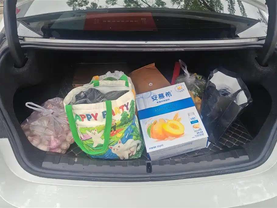 BMW BMW i3 eDrive 35 L 2024 - thumbnail 4