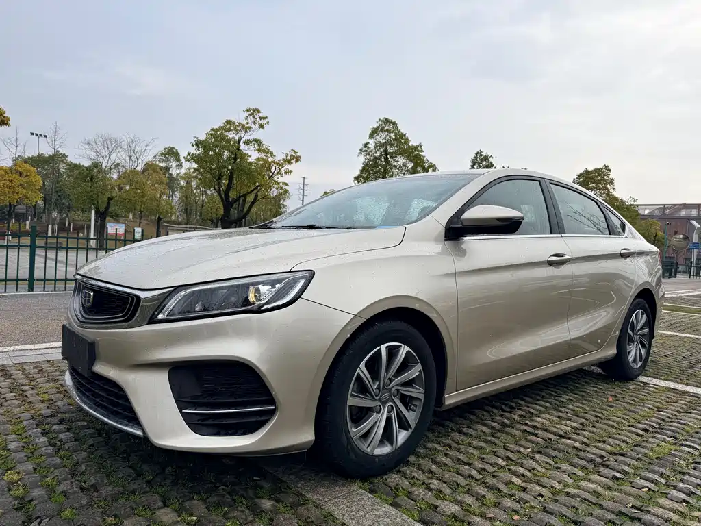 Geely Auto Geely Binrui 2018 14T CVT Binfen Edition 2019