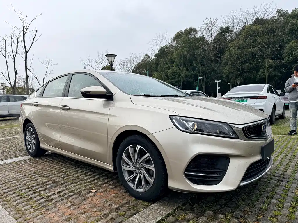 Geely Auto Geely Binrui 2018 14T CVT Binfen Edition 2019 - thumbnail 3