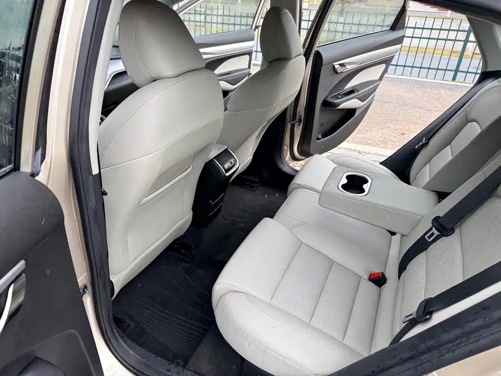 Geely Auto Geely Binrui 2018 14T CVT Binfen Edition 2019 - thumbnail 19