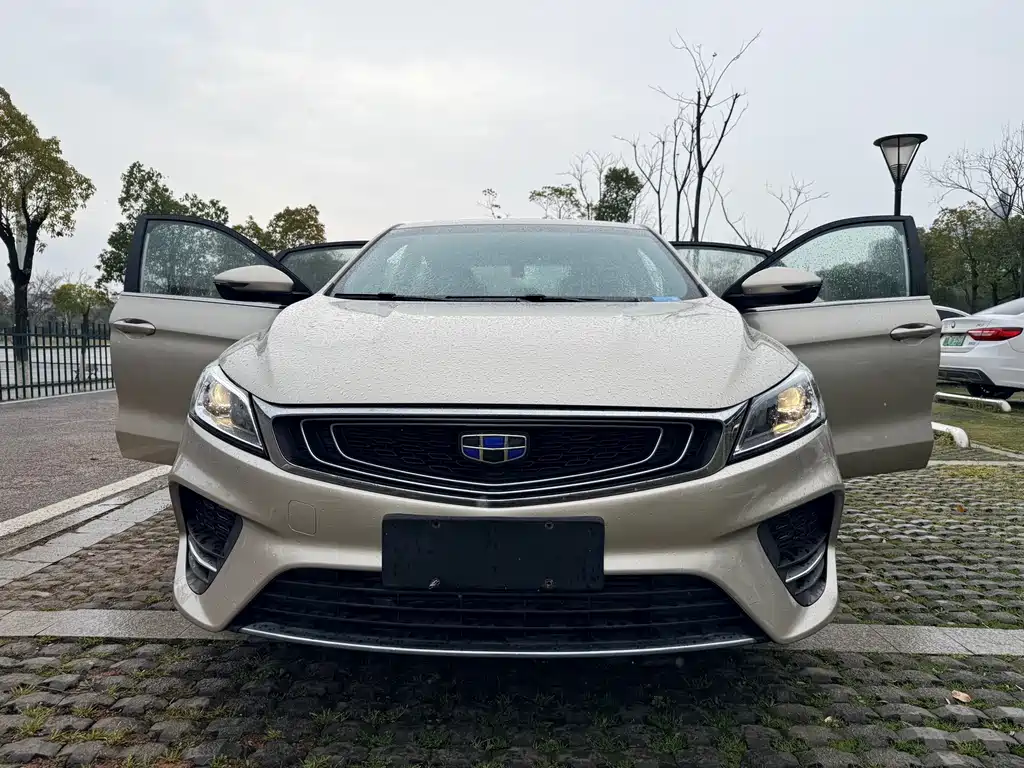 Geely Auto Geely Binrui 2018 14T CVT Binfen Edition 2019 - thumbnail 20