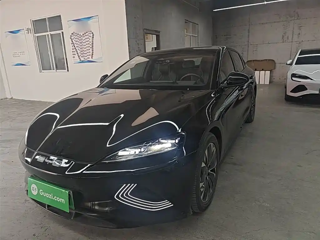 BYD BYD Seal 2023 Champion Edition 550km Elite Model 2024 - thumbnail 2