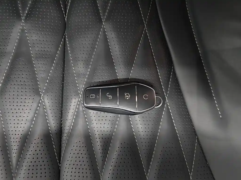 BYD BYD Seal 2023 Champion Edition 550km Elite Model 2024 - thumbnail 9