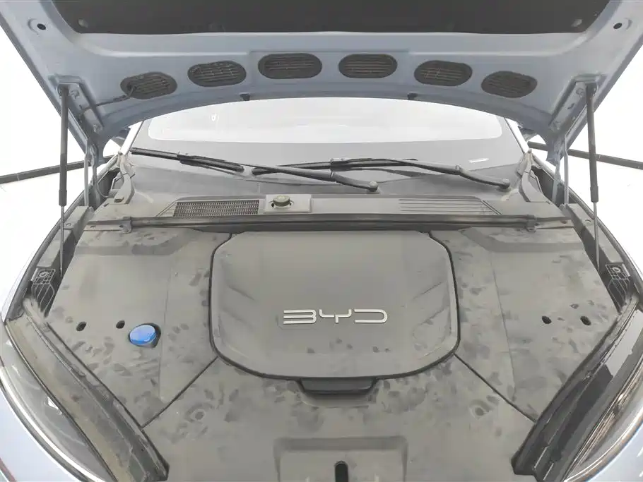 BYD BYD Seal 2023 Champion Edition 550km Elite 2023 - thumbnail 10