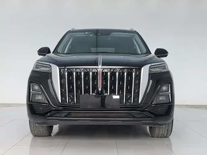 Hongqi Hongqi HS5 2.0T Qixiang Pro 2023 - thumbnail 2