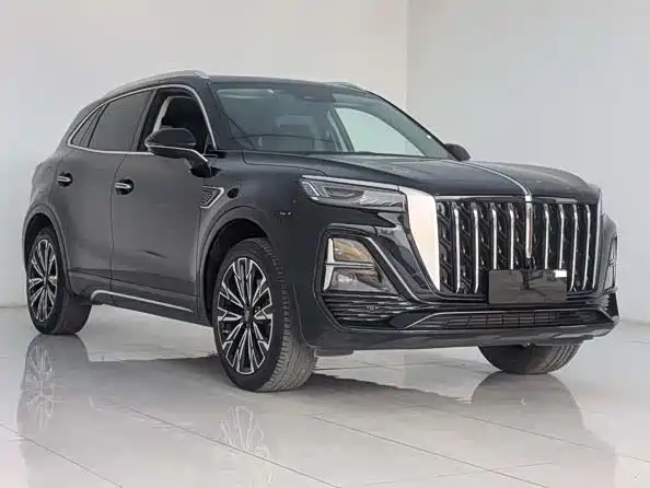 Hongqi Hongqi HS5 2.0T Qixiang Pro 2023 - thumbnail 3