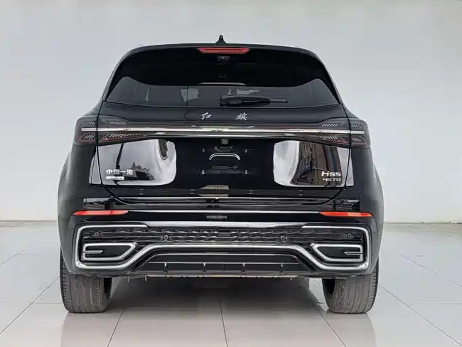 Hongqi Hongqi HS5 2.0T Qixiang Pro 2023 - thumbnail 8