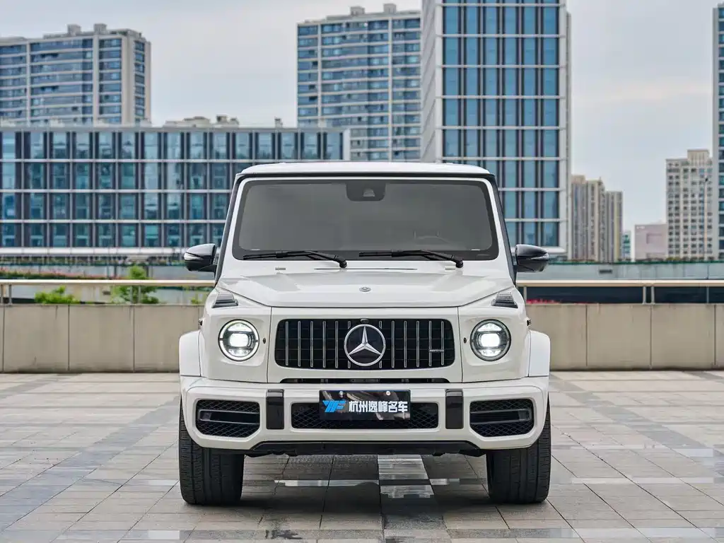 Mercedes-Benz Mercedes-Benz G-Class 2019 G 500 2019 - thumbnail 2