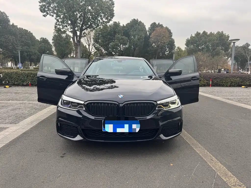 BMW BMW 5 Series 2020 530Li Leading Edition M Sport Package 2020 - thumbnail 2