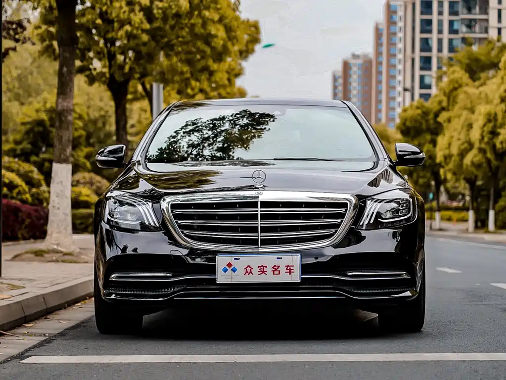 Mercedes-Benz Mercedes-Benz S-Class 2020 S 350 L Business Edition Zhen Cang Edition 2020 - thumbnail 2