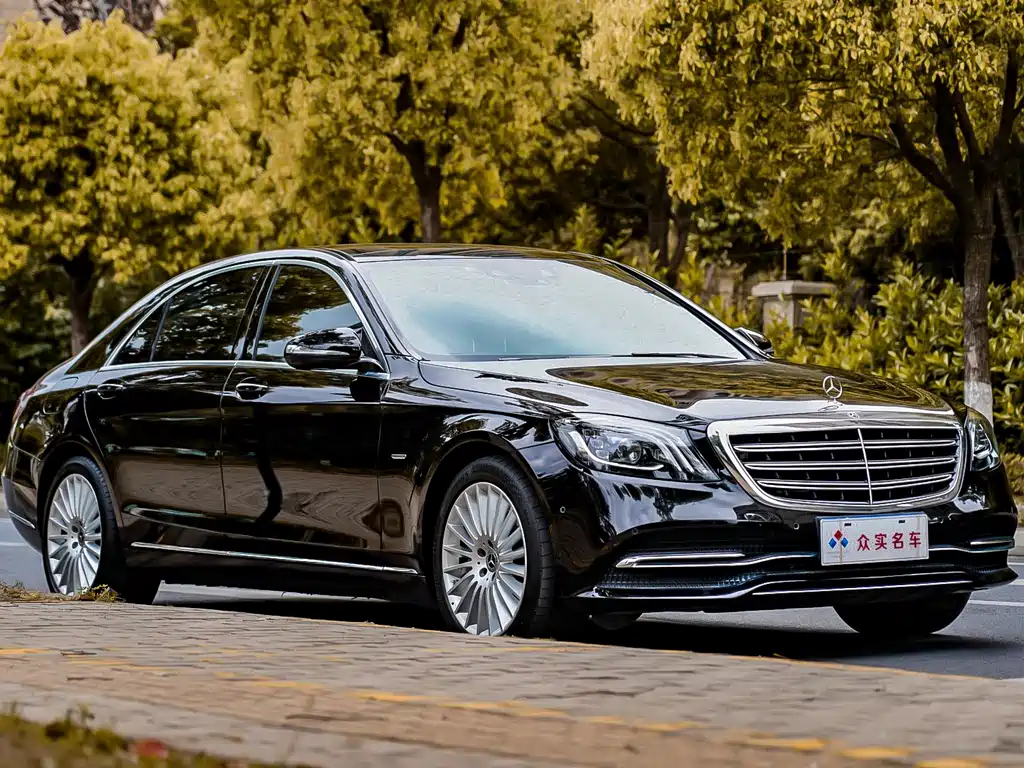 Mercedes-Benz Mercedes-Benz S-Class 2020 S 350 L Business Edition Zhen Cang Edition 2020 - thumbnail 3